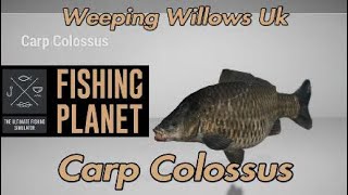 Carp Colossus Monster Mission - Weeping Willows UK - Fishing Planet