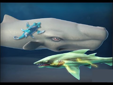 Sharkeleon New Special Shark Gameplay part 6 - Hungry Shark Evolution