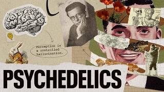 Download lagu UNRAVELING THE DREAM (A New Documentary Executive Produced by Sam Harris) mp3