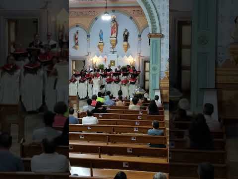 Coral Pérolas.   Cachoeira da Prata-MG /Fascinação.