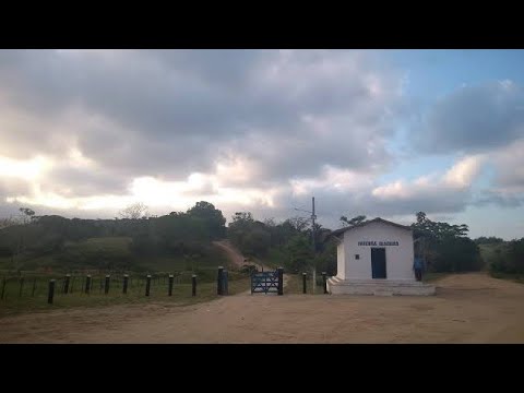 Fazenda riachao,Rio largo alagoas BRASIL 