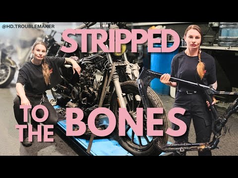 Stripping Down a Rusty Harley - My First Bike Build Begins | Harley Davidson Project | Sportster 883