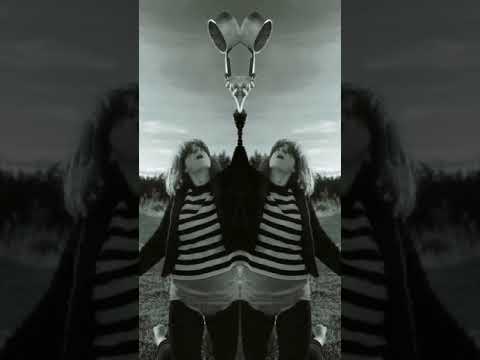 Je ne suis pas le mime de moi-même