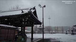 2022/01/22 【雪の東本願寺を歩く】 雪が降った京都の町並み 真宗本廟 東本願寺雪景色 | Walk in Kyoto, Japan | kyoto winter 2022 【4K】
