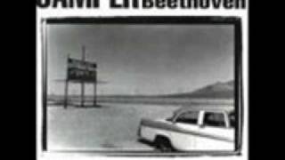 Camper Van Beethoven    -   &quot;All Her favourites Fruits&quot;  (Orch Vers.)