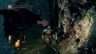 【初見実況】ダークソウル・リマスターpart5【人間性を疑う死霊】