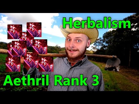 Insane Farm 50k+ Part 1 - Aethril Rank 3
