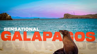 Top 10 Best Places To Visit In Galapagos Islands (2023)