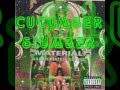 Material - Cucumber Slumber (Fluxus Mix)_Fast