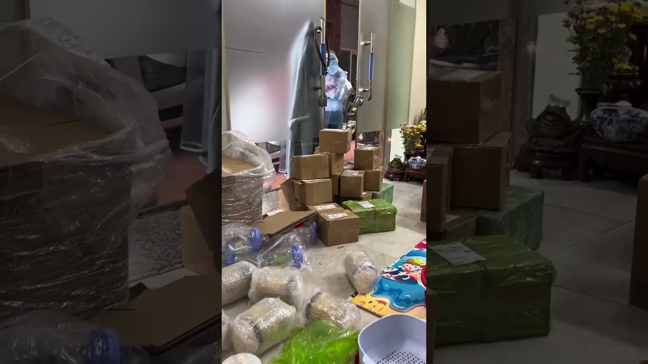 Video thực tế