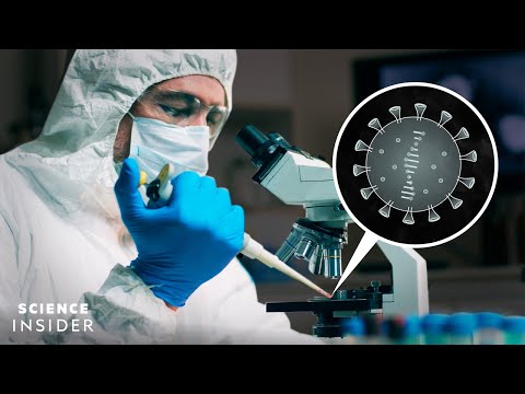 我們如何知道冠狀病毒不是在實驗室製造的？ (How We Know The Coronavirus Wasn’t Made In A Lab)