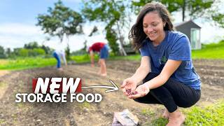 Taking SELF-SUFFICIENCY a Step Further