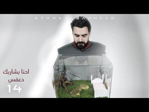 احنا بشاربك دعفس | الحلقة الرابعة عشر 14 | البشير شو ستار اكس