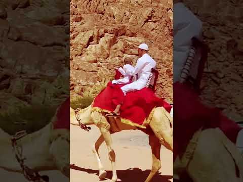 saudi arab/ Medina/ jin pahar/ camel Ride❤️♥️💖💜💙