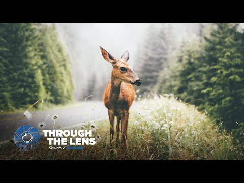 Through The Lens | S02E02 - @fursty