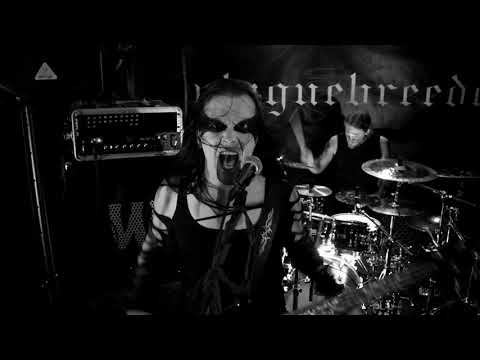Plaguebreeder - The Root of Extinction (Official Music Video)