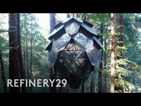 Would You Airbnb This Pinecone Treehouse? | Weekend House