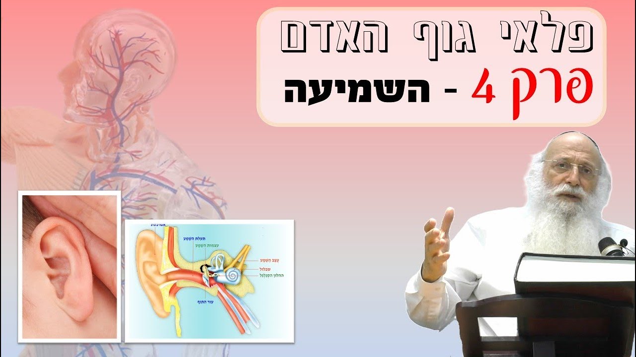 פלאי גוף האדם | פרק 4 - השמיעה | הרב יהודה עמית.