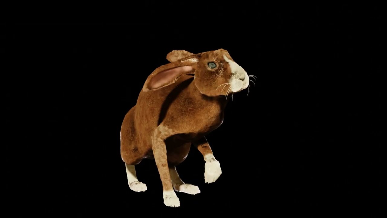 Rabbit 3D Model