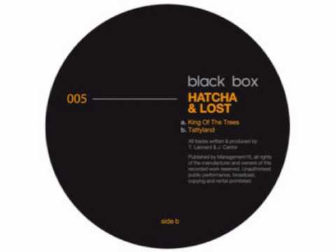 Hatcha & Lost - Tattyland