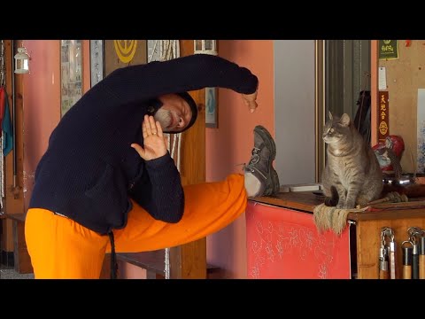 Six Tree Exercises and Pet Therapy