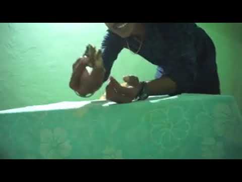 Happy birthday vijaya