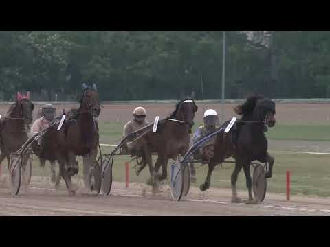 2019.05.04. 09. futam - DR. BOROSTYÁNKŐY TAMÁS EMLÉKVERSENY - DÖNTŐ FUTAM