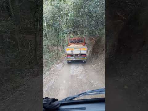 tre Bonetti 4x4 sui monti di Vesima