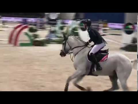 FEI Weltcup Verona 2018: Chardonnay 79 & Max Kühner (AUT/T)