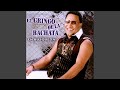 Mientes - El Gringo de la Bachata - Topic Mientes