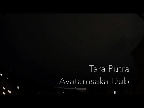 Tara Putra -  Avatamsaka Dub