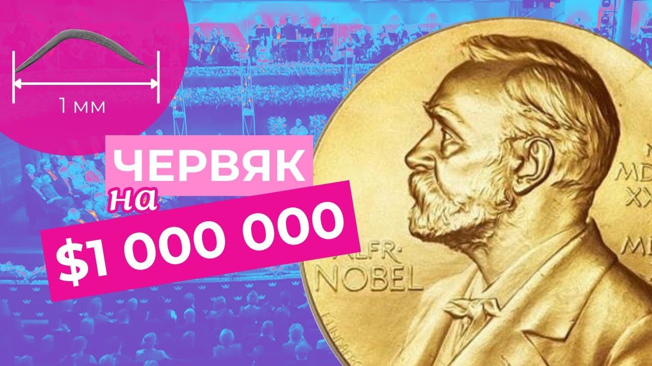 За что дали Нобелевскую премию по физиологии и медицине 2024 | Простым языком и с иллюстрациями