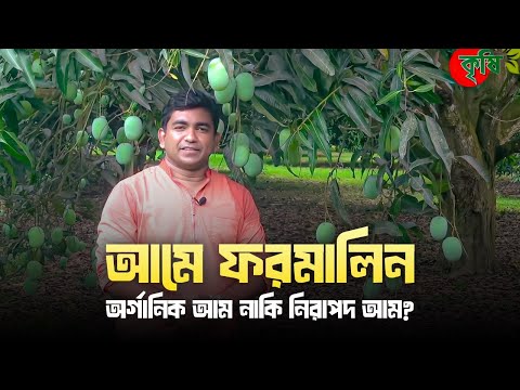 আমে ফরমালিন, অর্গানিক আম নাকি নিরাপদ আম?