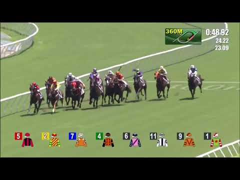 10/7/2022 (809) Chicken Dance -  Derek Leung