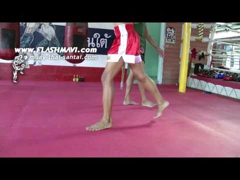 Muay Thai - How to Walk Backward