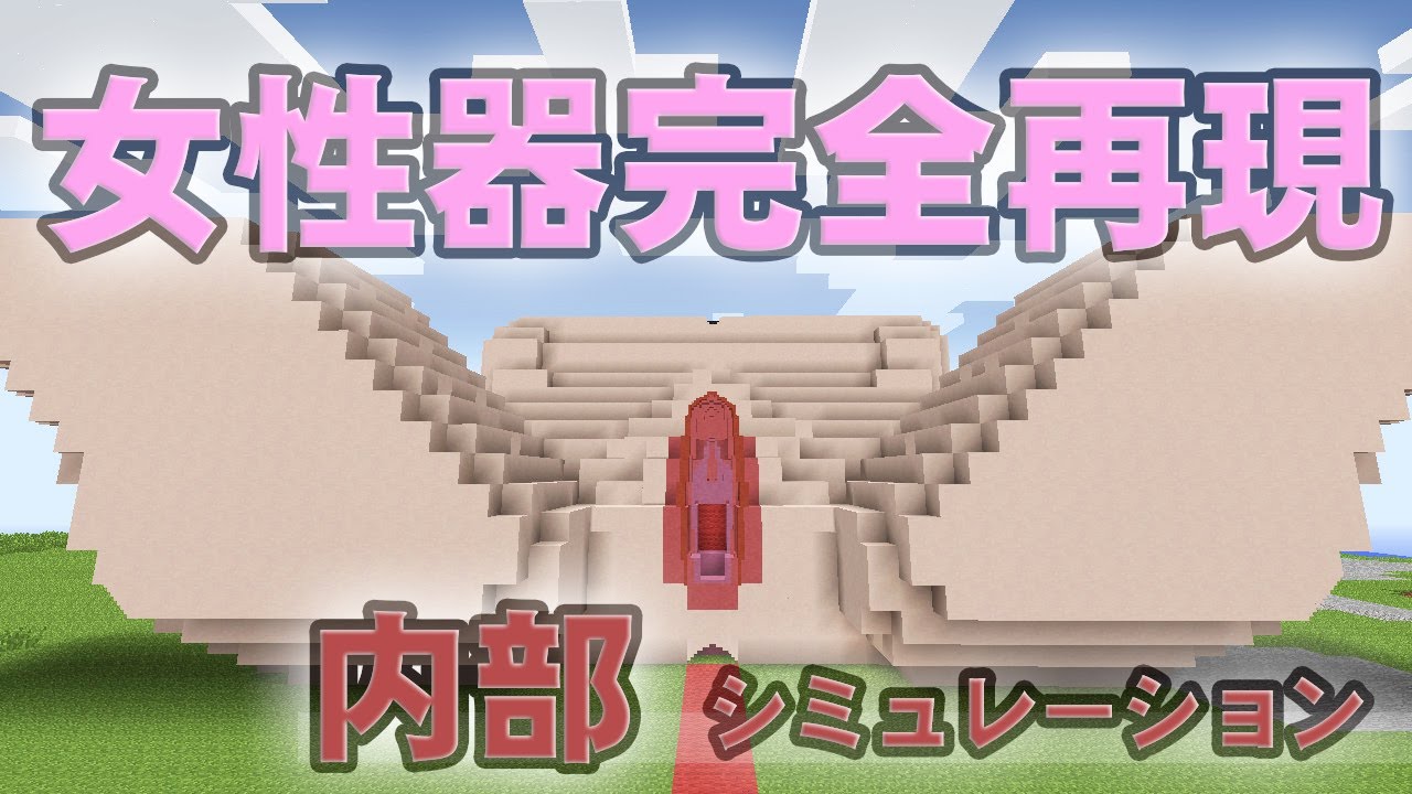 【マインクラフト】女性器内部シミュレーション【医学・芸術】