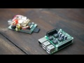HiFiBerry DAC+ RCA Zero, skirstomi 4B/3B+/3/2/B+/A+/Zero