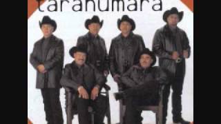 Conjunto Tarahumara- Gaviota Traidora