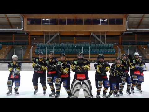 Trailer Panther Style