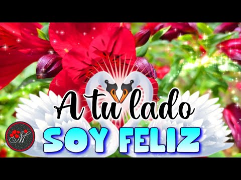 A TU LADO SOY FELIZ 💌 Una bonita historia de amor para reflexionar 💕 MENSAJES DE AMOR BONITOS