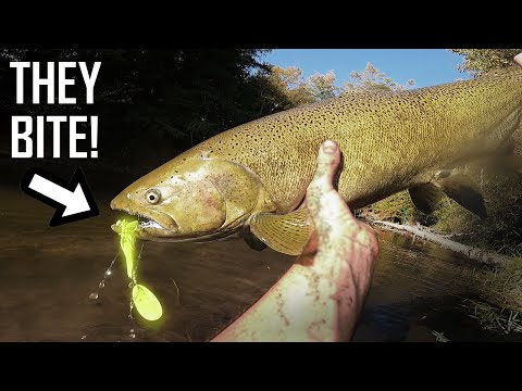 Creek Salmon Crushing Spinners - October Biting River Kings