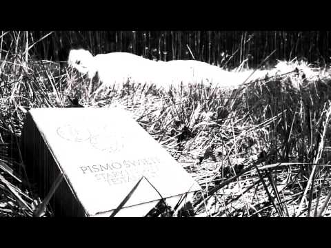 BĘSIU "Być taki jak Ty" (Du-Rzy blend)