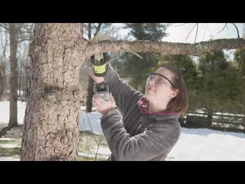 Sun Joe 24V Cordless Handheld Multi-Purpose Saw w/ 4 Blades on QVC