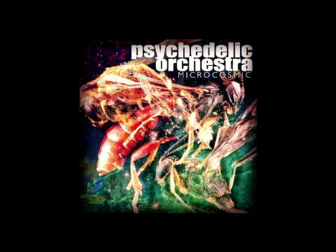 Psychedelic Orchestra "Let Us All Unite"