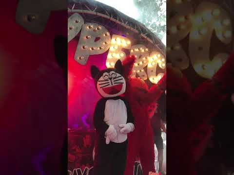 Hypercat Festival Ulm 2019