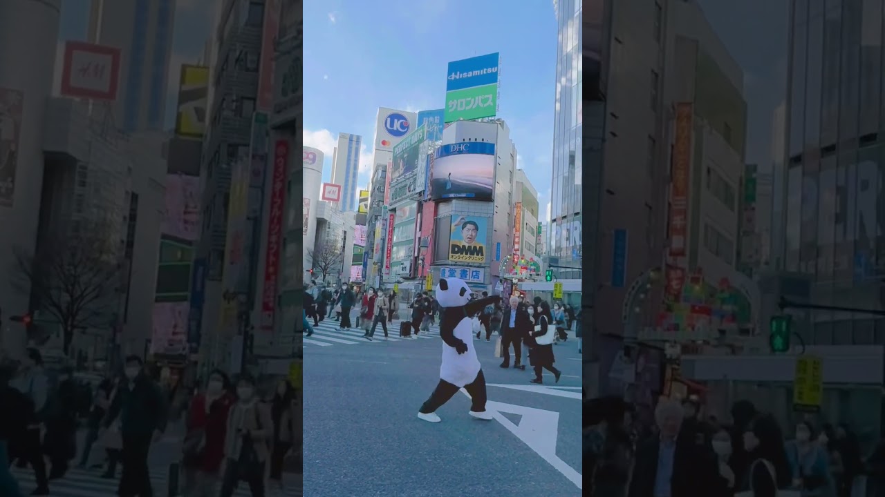 渋谷に現れたパンダ#パンダ#Tokyo#流行りのダンス