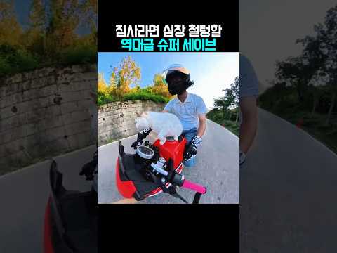 바이크보다 소중한 내 고양이 구출 실화 😿 (심장주의)