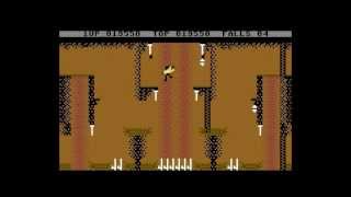 Commodore 64 C64 BRUCE LEE Classic Game