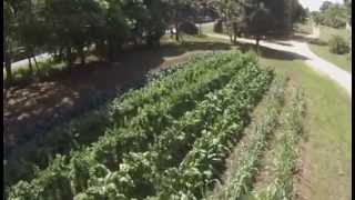 preview picture of video 'Bio Organic Farm'