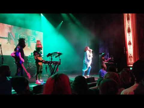 Ninja Sex Party - Bloopy Reggae Jam (Live) Kansas City, MO 08/08/2018